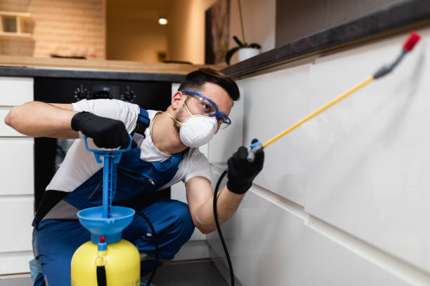 Best Exterminator Services  in Day Valley, CA