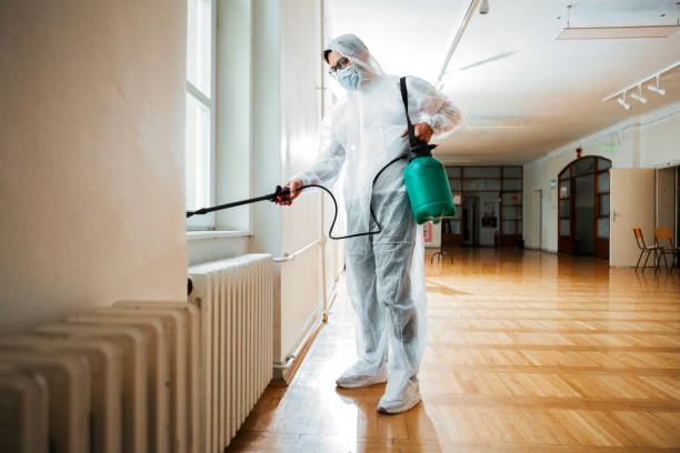 Reliable Day Valley, CA Pest Control Solutions