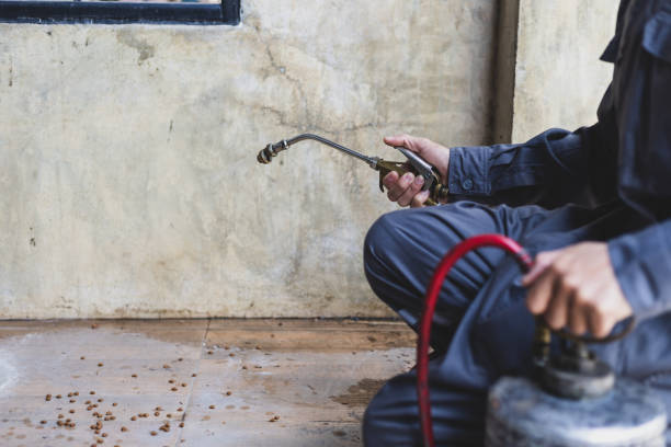 Best Local Pest Control Services  in Day Valley, CA
